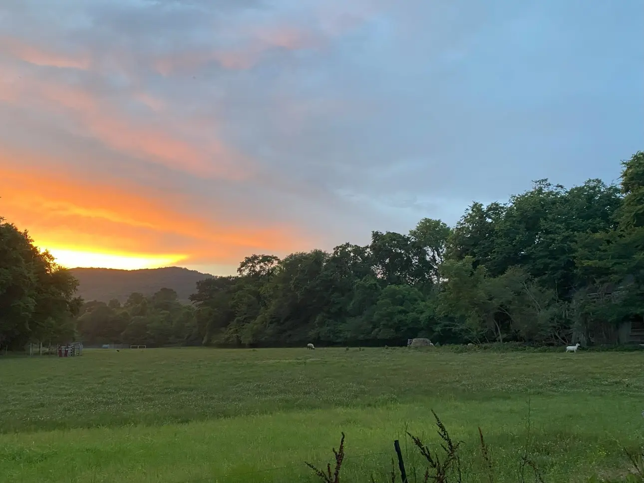 A sunset